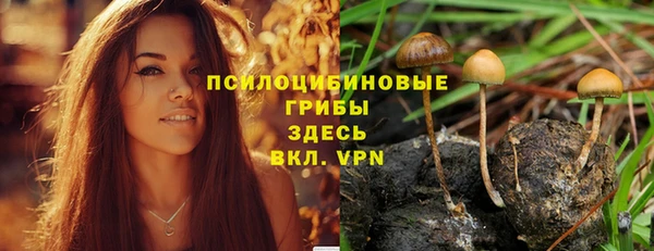 герыч Абинск