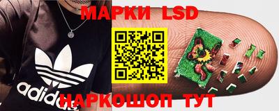 прущие грибы Кудрово