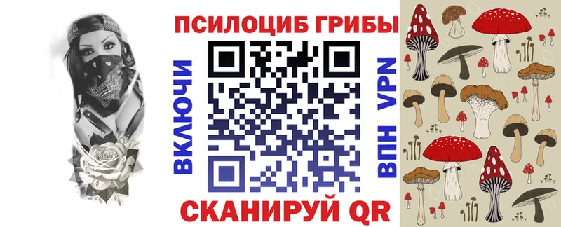 купить наркотик  Удомля  гидра как войти  Галлюциногенные грибы MAGIC MUSHROOMS 