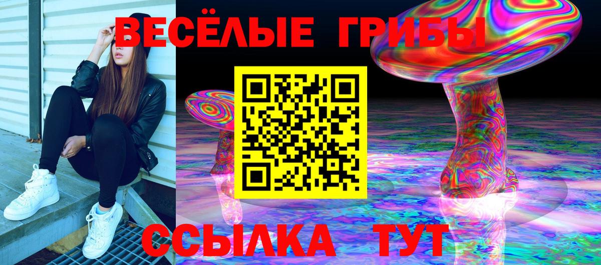 Псилоцибиновые грибы Psilocybine cubensis  Вход с VPN  Удомля 