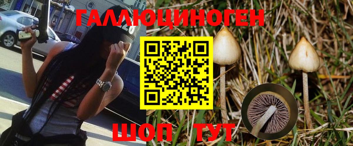 Галлюциногенные грибы Psilocybe Удомля